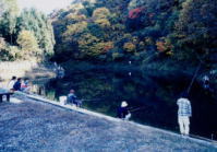 大石釣堀