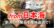 from���{�C