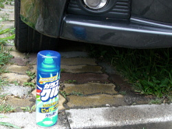 虫が付いたらガラスの洗浄剤